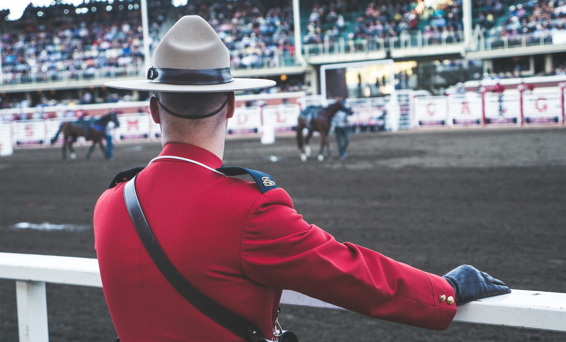 An RCMP officer in uniform looking out at a couple horses and riders performing during the Calgary Stampede.