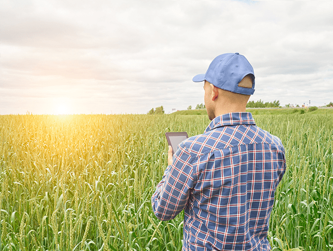 farmer with tablet in a field