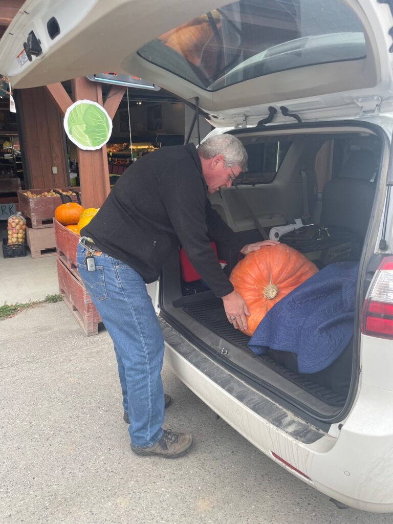 Gary Drew, Operations Strategist at Tenato Strategy, loads a large pumpkin into his trunk